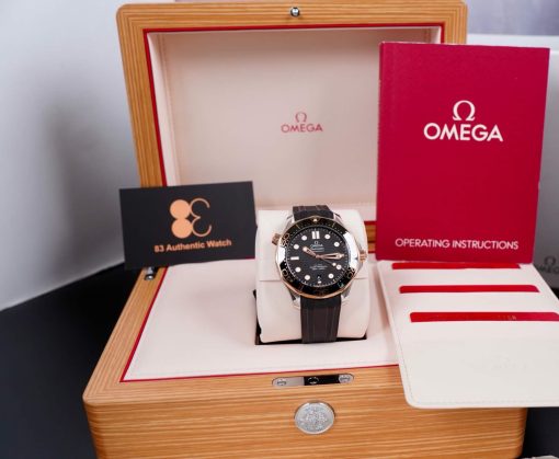 Omega Seamaster Automatic Steel & 18kt Sedna Gold Black Dial Men’s Watch