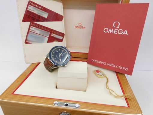 Omega 233.92.41.21.03.001 Seamaster 300 Master Co-Axial Watch