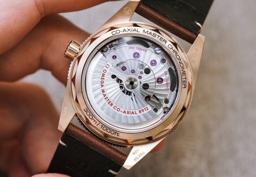 Omega Seamaster Automatic Chronometer Black Dial Men’s Watch Item No. 234.32.41.21.01.001