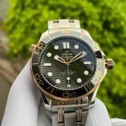 Omega Seamaster Sedna Gold Diver Master