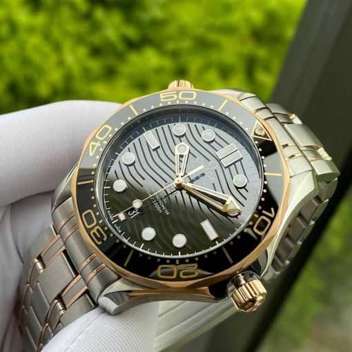 Omega Seamaster Sedna Gold Diver Master